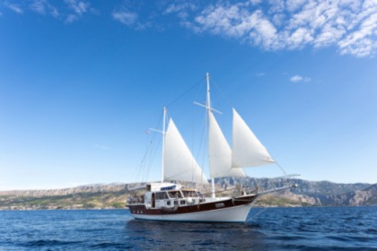 Rental Gulet Gulet Polo Dugi Rat