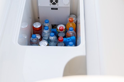 Sea Ray 230spx 250PS