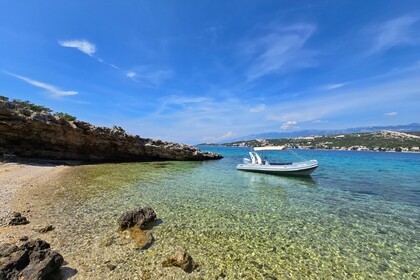 Novomar NM630 & Honda BF150