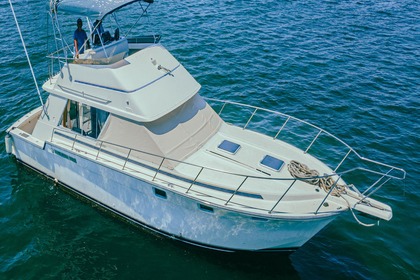 Custom 42 ft SportFish