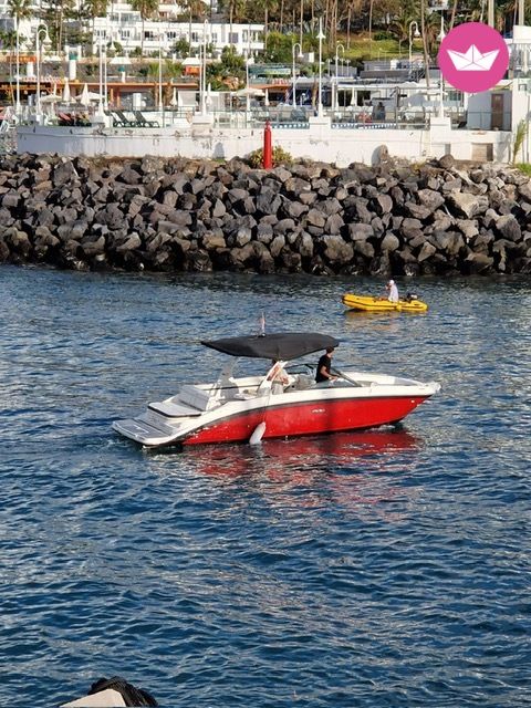 Bateau à moteur Sea Ray Sea Ray SDX 27E 350cv 5
