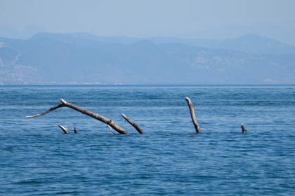 Only 1,5 hour boat trip