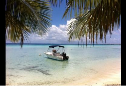 Location Bateau à moteur Polyform 17.5 Uturoa