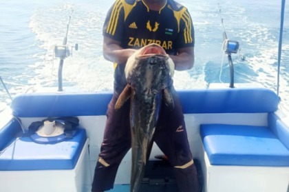 Rondleidingen en safari's in Panama