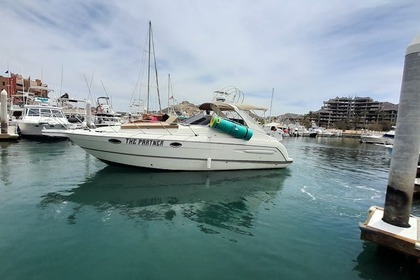 Charter Motorboat Maxum 33 Cabo San Lucas