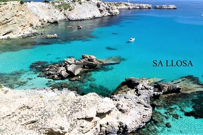 DISCOVER THE VIRGIN NORTH COAST