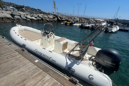 Capeli Tempest  2019