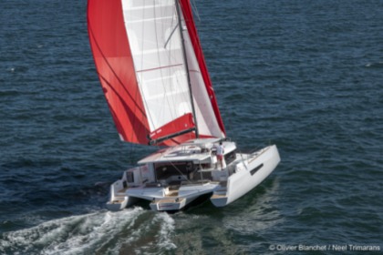 NEEL 47 vintage 2024