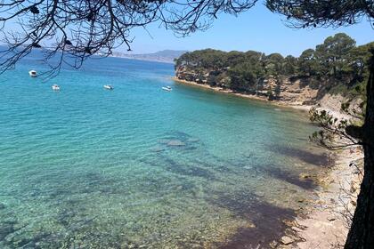 3 C Composites Bongo 960