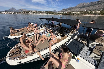 Quicksilver 755 Sundeck - Dana