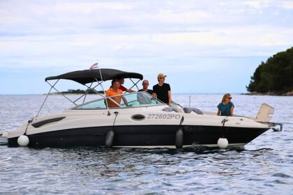 Hire Motorboat Sea Ray 270 Sundeck Poreč