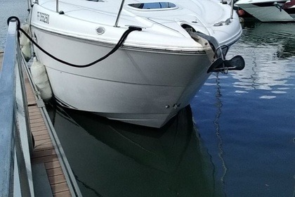 Rental Motorboat Sea Ray Sundancer 290 Fort-de-France