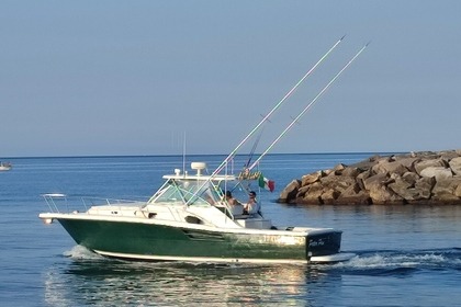 Pursuit 3400 "Express" 12 metres