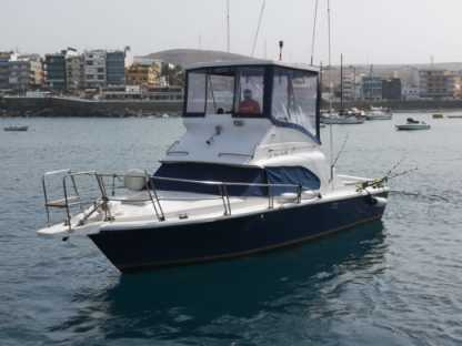 Location Bateau à moteur Bertram Fly Las Palmas de Gran Canaria