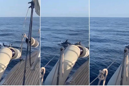 Joyeuse escapade à bord d'un voilier de caractère ?⚓?⛵