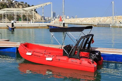 SkipperCat's WHALY - WITHOUT LICENCE