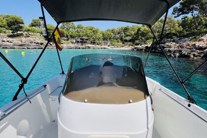 Hire Motorboat WELLCRAFT OPEN Portopetro
