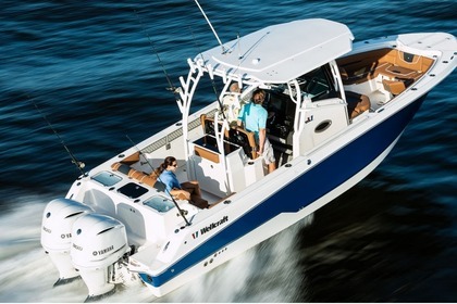 Hire Motorboat Wellcraft 302 Fisherman U.S. Virgin Islands
