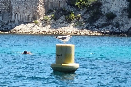 Verhuur Zeilboot Yachting France Jouet 10.40 MS Nice