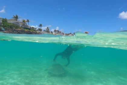 Les Grenadines en voilier d'exception