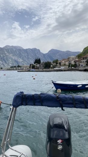 Тиват RIB Mercury 5.0 alt tag text