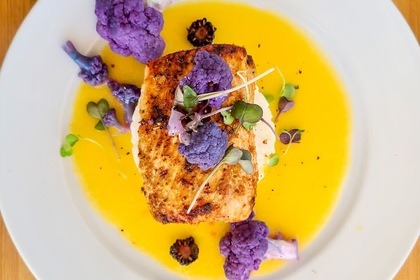 ALL INCLUSIVE day and overnight charter on [**#**]