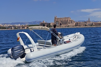 Czarter Łódź motorowa Zodiac Medline Ii Palma de Mallorca