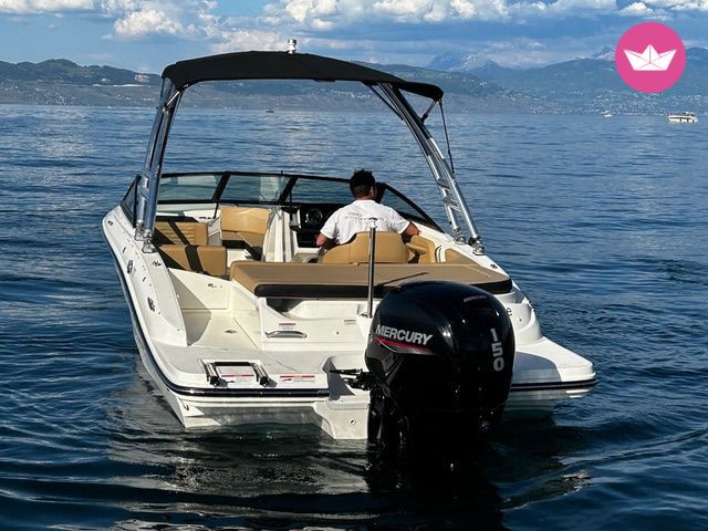 Bateau à moteur SEA RAY SEA RAY 600 150cv 2