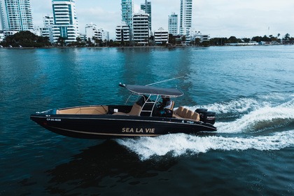 SINGLAR290 SPORT Special Edition 2022