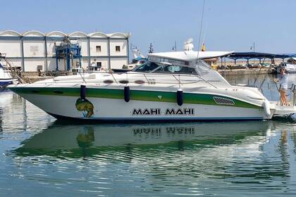 Miete Motorboot Sea Ray 370 Sundancer Marbella