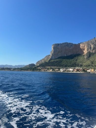 Palerme Motorboat Mano Marine Mano 32.50 alt tag text