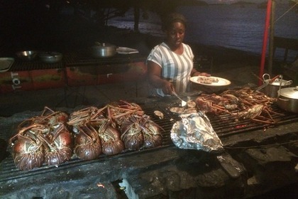 NEW : Nautitech 46 Open 2019