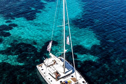 Miete Katamaran Lagoon 500 Puerto Portals, Portals Nous