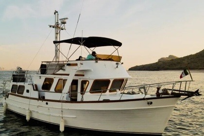 Charter Motorboat Trowler 43 Classic Mazatlán