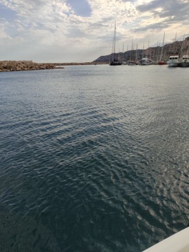 Marselha Motorboat Quicksilver 605 OPEN alt tag text