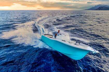 Charter Motorboat Kelt White shark Capbreton