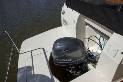 Suncamper 31 Dzień Świra