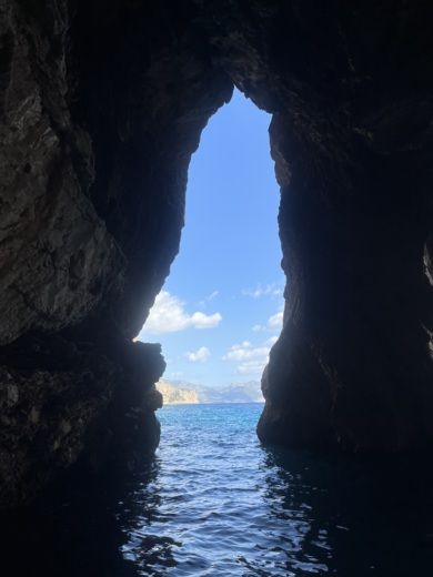 Кала Гононе Without license GEMMA LUXURY XXL alt tag text