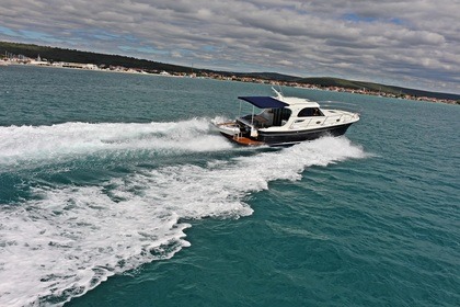 SAS VEKTOR Adriana 36