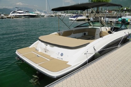 Sea Ray 210 Spx