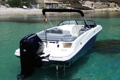 Bayliner VR6 con arco de Waveboard