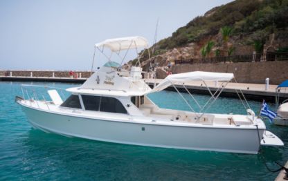 Charter Motorboat Bertram 31Ft Agios Nikolaos