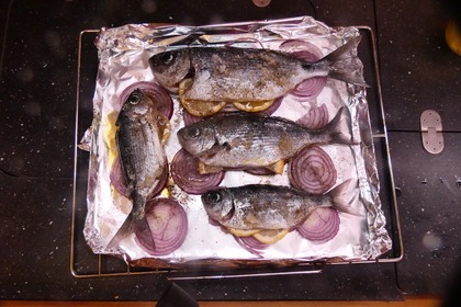 BlueWater cruiser with skipper/instructor