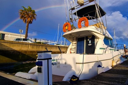 Charter Motorboat Fishing tours Merry Fisher 925 Lisbon