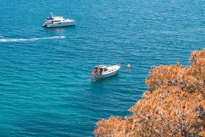 Blue Dream Snorkel, Kayak y Paddle Surf