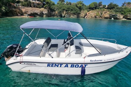 Private boat trips - Poseidon 185