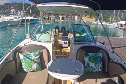 Daily private boat excursions