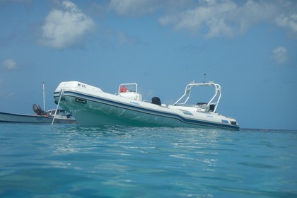 Aluguel Semi Rígido Custom made 20 Feet Super Rib Willemstad