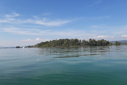 Sea Ray SPXE190 (mit Skipper)