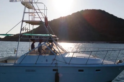 Charter Motorboat Luhrs 360 Sport Mazatlán